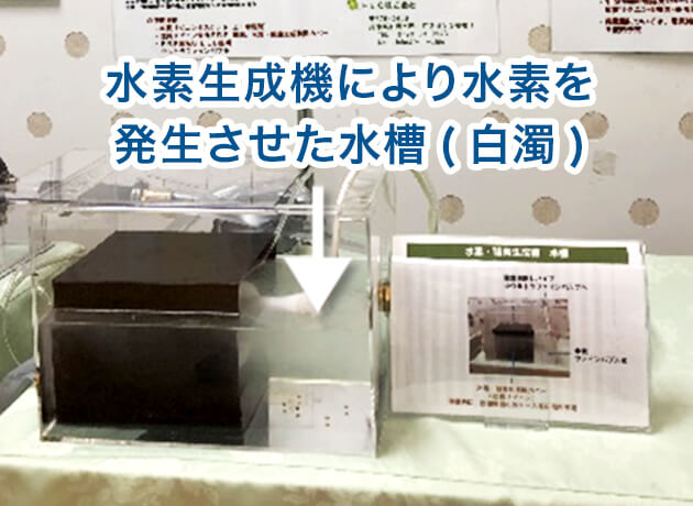 水素生成機により水素を発生させた水槽(白濁)
