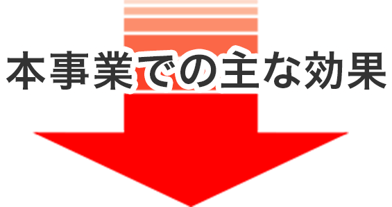 本事業での主な効果