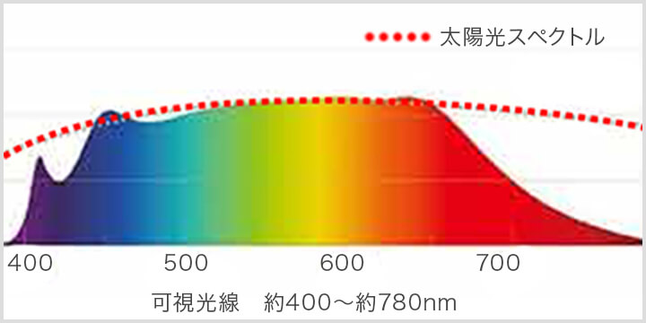太陽光スペクトルLED照明、省エネと空間の質感アップ