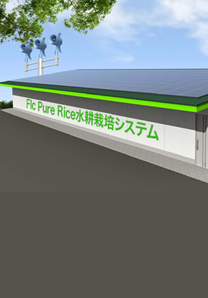 Flc Pure Rice水耕栽培システム