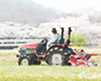 田植え