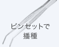 ピンセット