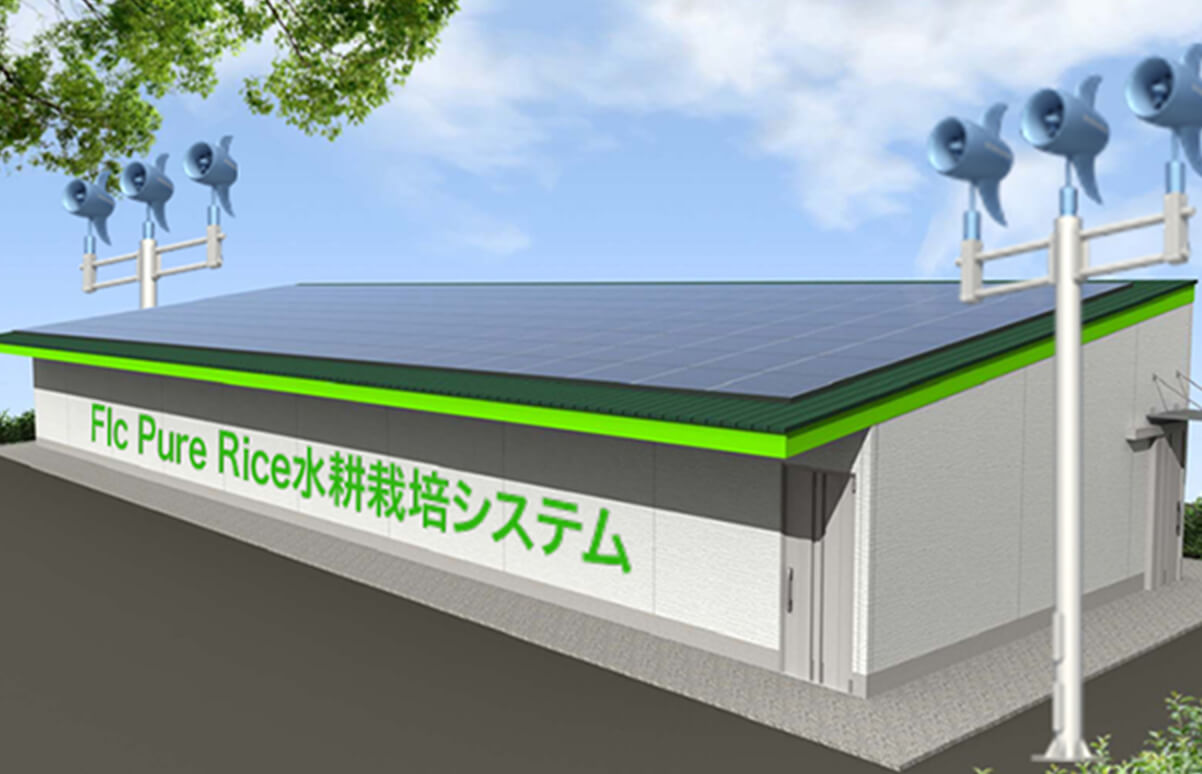Flc Pure Rice水耕栽培システム