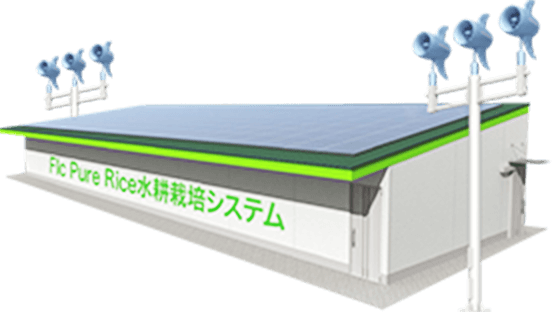 Flc Pure Rice超矮性稲作コンテナ水耕栽培システム