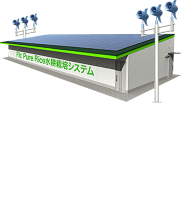 Flc Pure Rice 水耕栽培システム